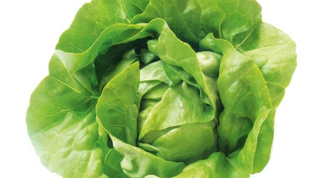 Die 10 besten Tipps gegen den Winterspeck