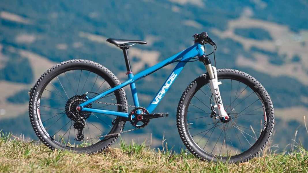 Vpace Max24 – Kidsbike im Test