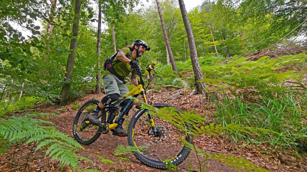 MTB-Park Pfälzerwald auf 900 Kilometer gewachsen
