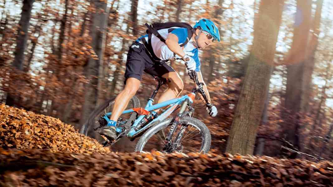 All Mountain Bike: Trek Remedy 9 im Langzeit-Test
