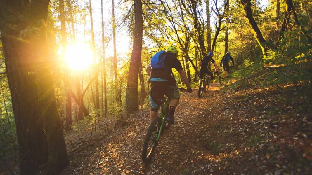 Tschechien: Neuer Trailpark in Lipno