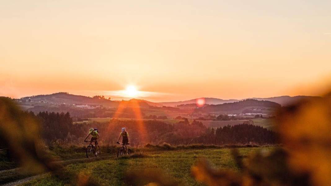 Wurzelwege und MTB-Trails im Land der Granitbiker