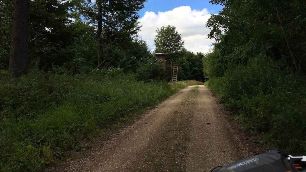 Waldbesitzer verklagt Mountainbiker und verliert