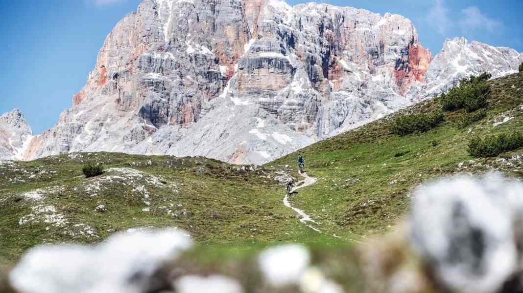 MTB-Supertrail Nr. 75: Plätzwiesen-Trail