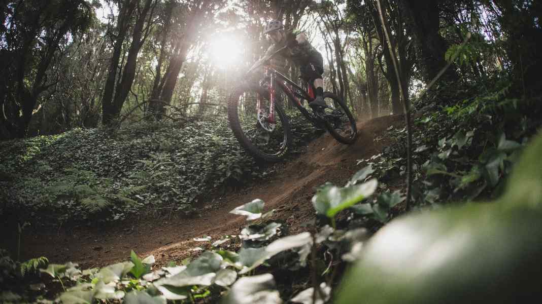 Neu für MTBs: Zipp bringt Carbon-Felge ohne Hohlkammer