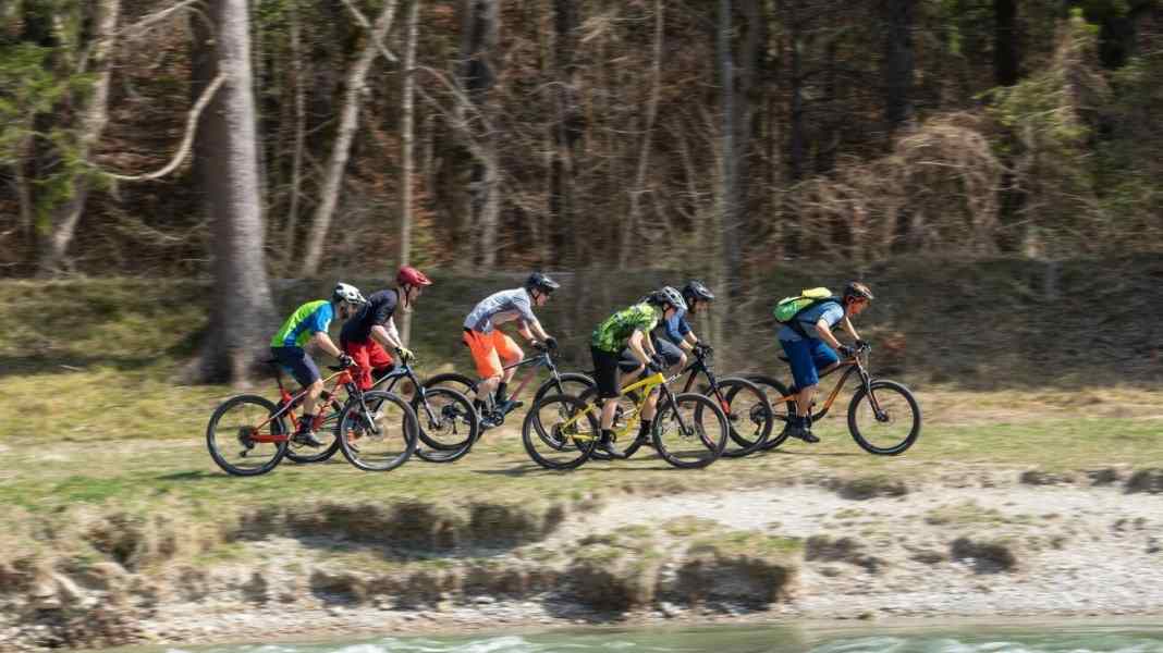 8 Einsteiger-Bikes aller Kategorien im Vergleich