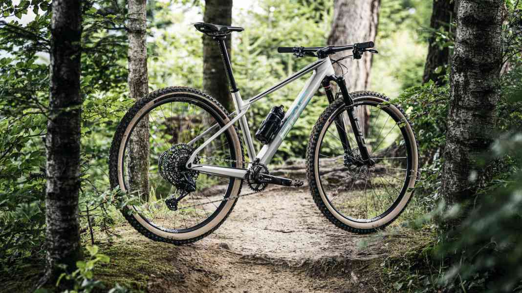 BMC Twostroke: Langstrecken-Hardtail mit Trailbike-Geo