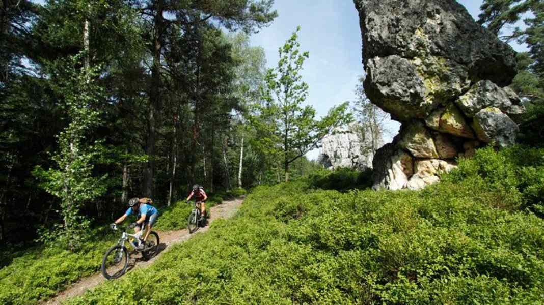 Deutschland: Bayerischer Wald mit dem Mountainbike