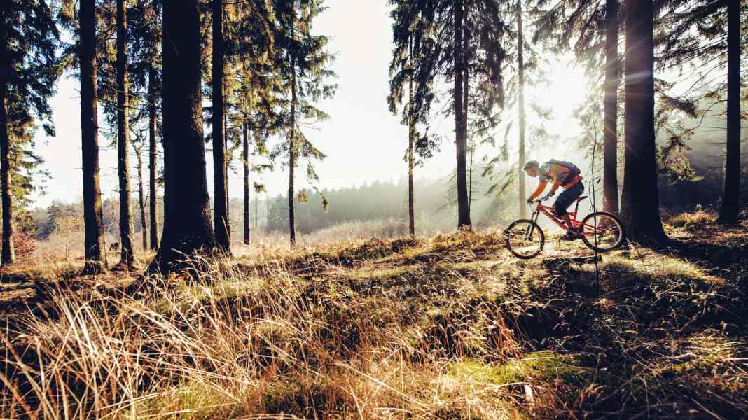 Diese 6 Mountainbike-Trails sind auch im Winter meist trocken!
