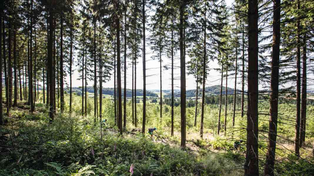 Mekka für Mountainbiker: das Sauerland