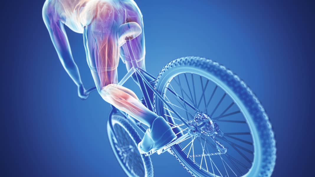 So wird man Knieschmerzen beim Biken los