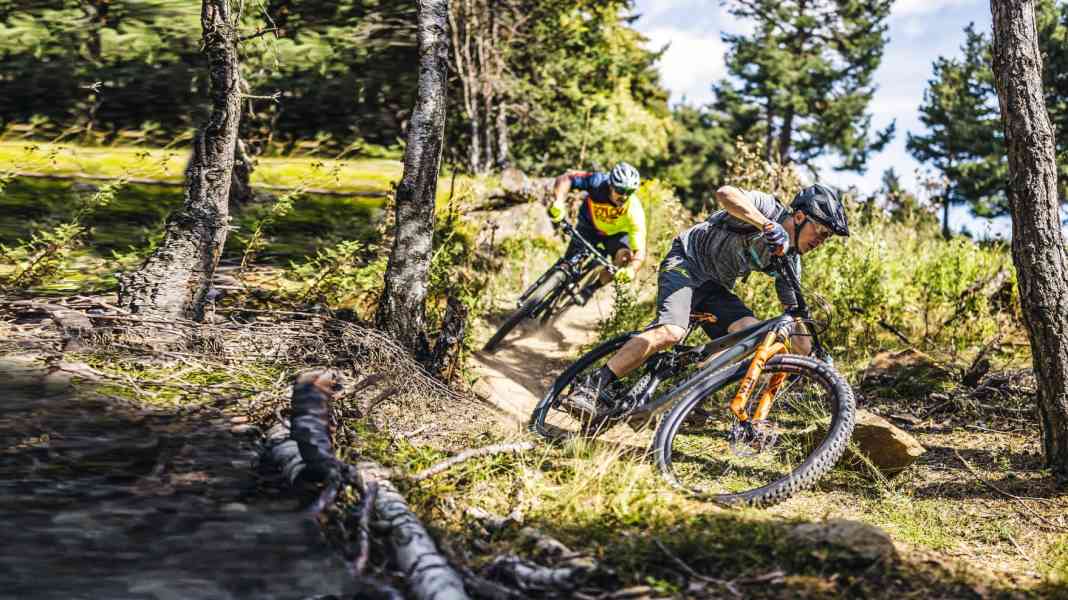 6 Down-Country-Bikes ab 3799 Euro im Vergleich