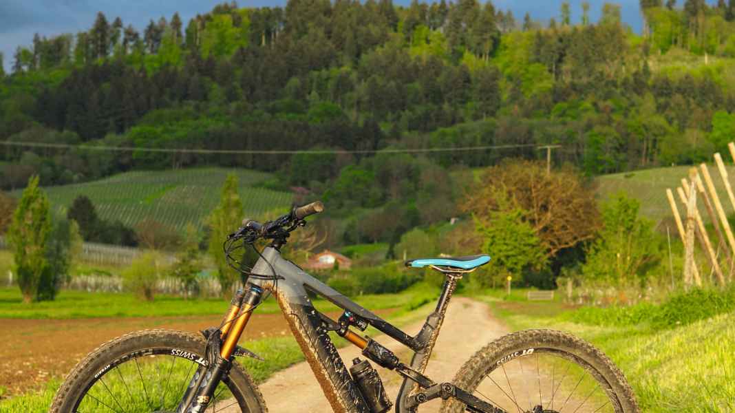 Quirliger E-Freerider: Canyon Torque:ON 9