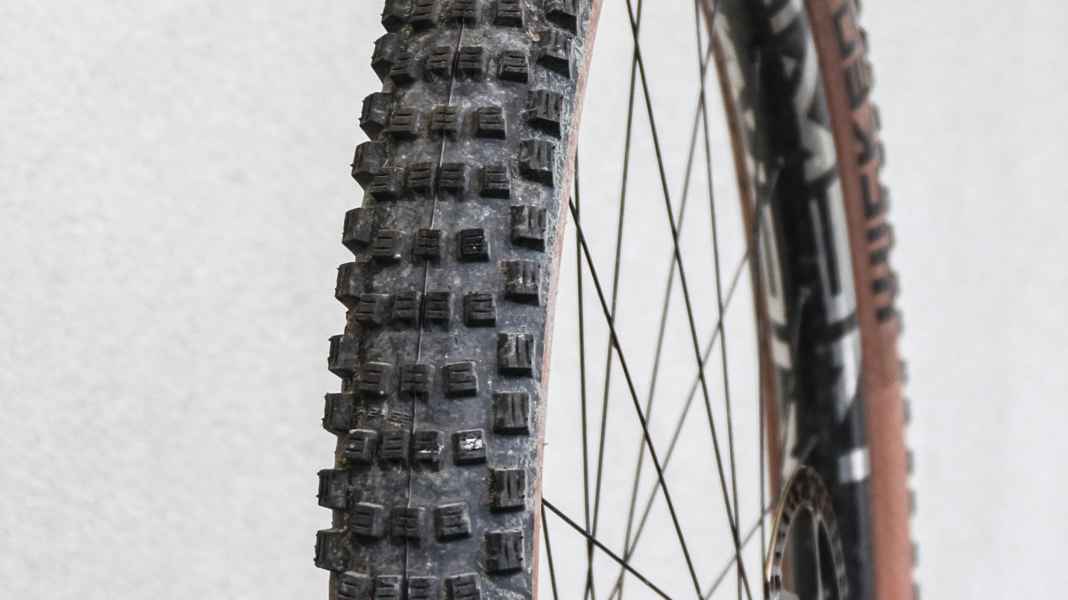 Zuverlässiger Allrounder: Schwalbe Wicked Will Reifen