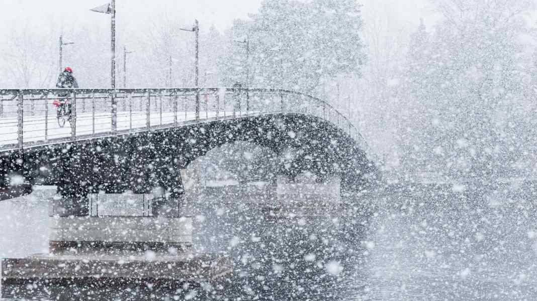 Winterfest