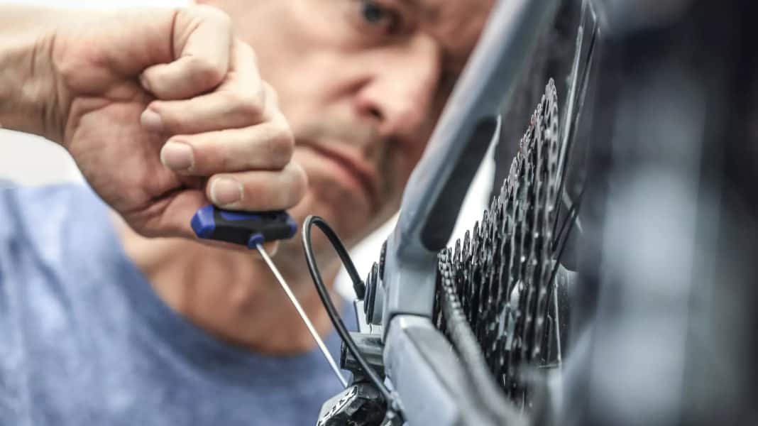 E-Bike Wartung selbst gemacht: Wellness-Programm fürs E-MTB