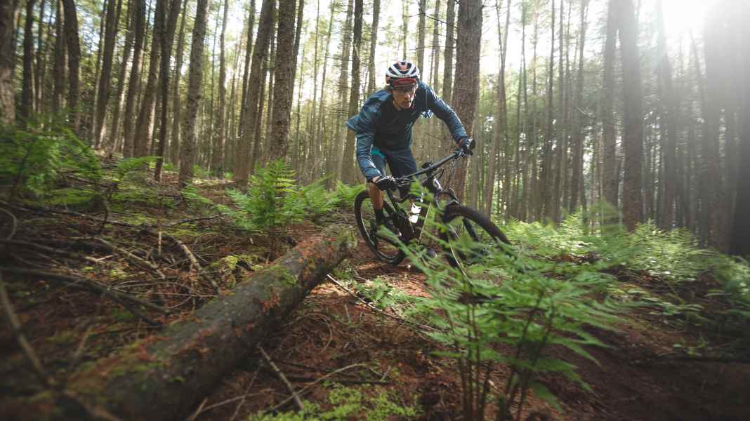 Bundeswaldgesetz 2024: NaBu will Mountainbiker von Trails verbannen