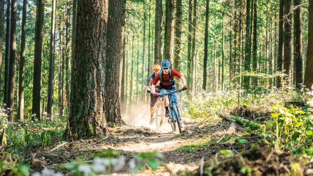 Mountainbiken in Freisen im Saarland: Sharkfins am Füsselberg