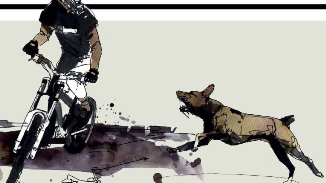 Biker und wilde Tiere - Teil 3: Was du bei aggressiven Hunden beachten solltest