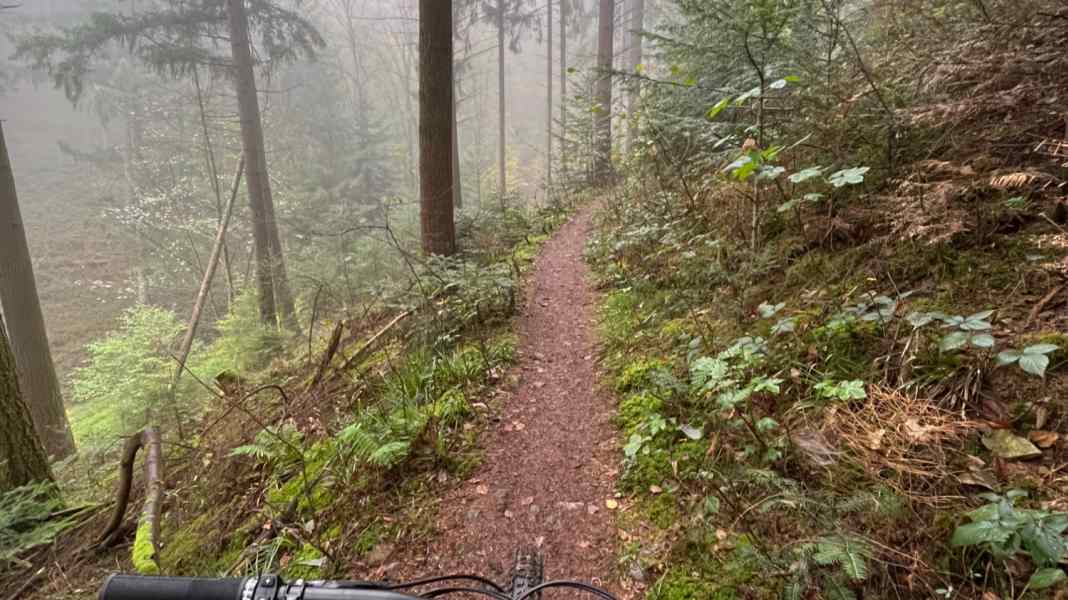 Trail-Gedanken: Meine Strava-Lüge