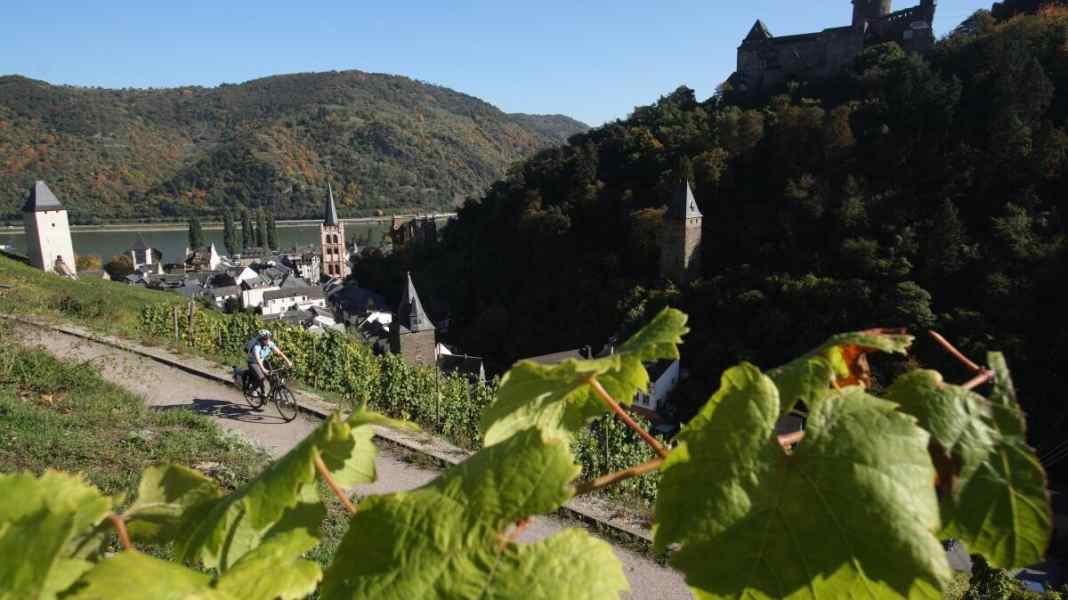 Rheinradweg: 200 Kilometer von Mainz nach Köln