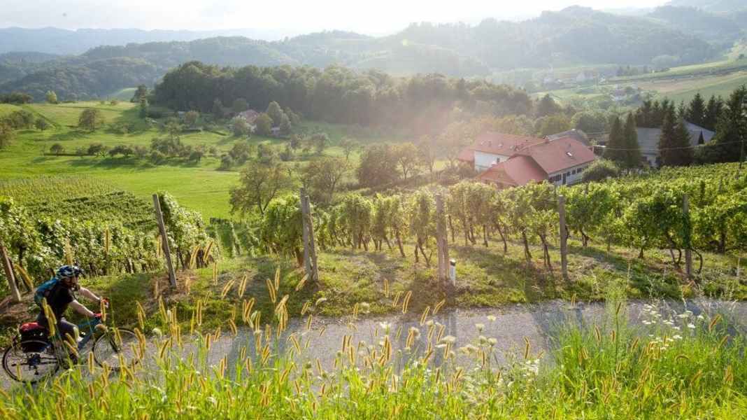 Graz-Maribor-Radweg