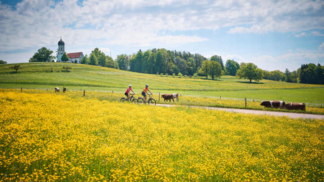 Sicher unterwegs: So vermeiden Sie Insektenstiche beim Radfahren