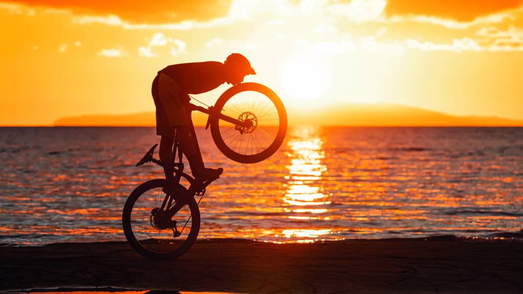 MTB Reifen-Test: Was sind die besten Modelle für Trailbikes?