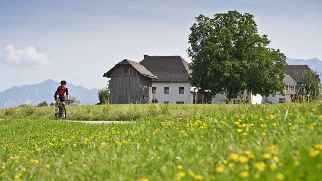 Rennradtouren in Oberösterreich - Tour 4: Von Wels an den Traunsee