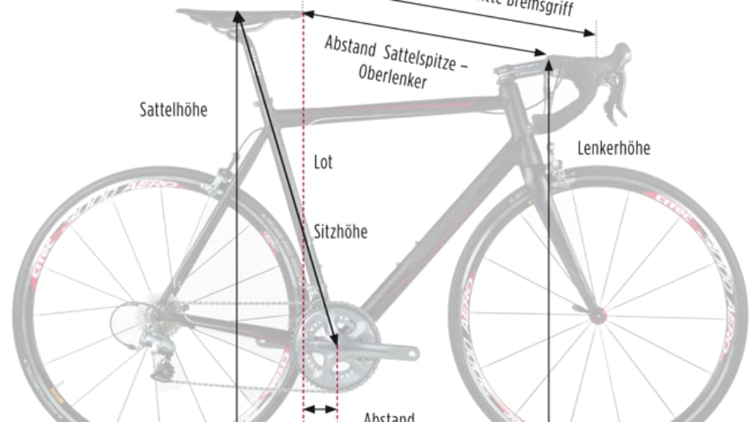Rennrad-Kauf: Welche Rahmengröße beim Rennrad brauche ich?