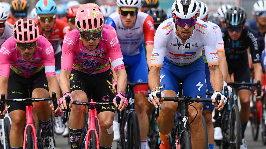Nach Crash: Sagan-Helfer Oss muss Tour mit Halswirbelbruch aufgeben