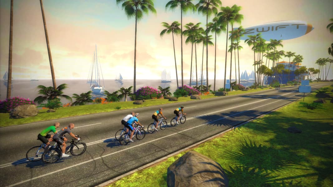 Rollentraining mit Zwift - Test & Tipps