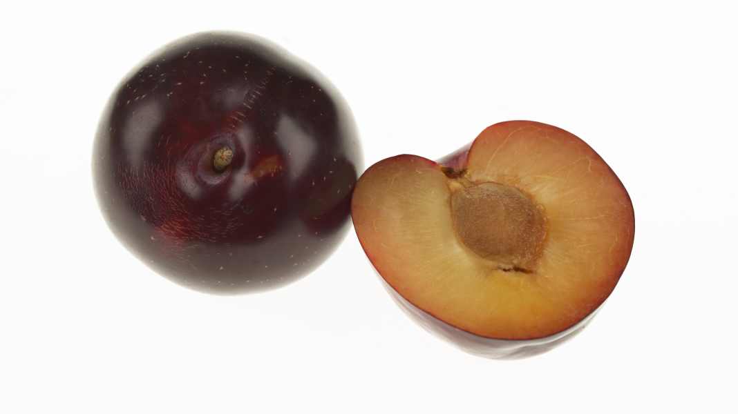 Die Pflaume: Alles Wissenswerte zu Pflaumen