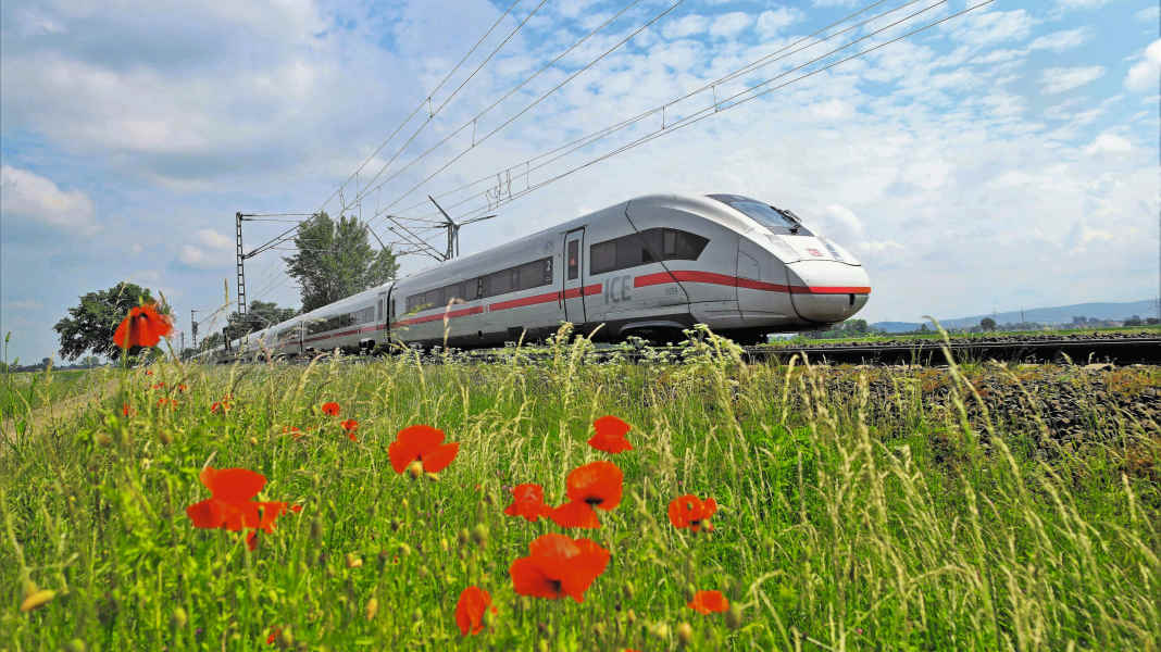 Bahnreisen mit dem Rennrad: Mit dem Rad klimafreundlich in den Urlaub
