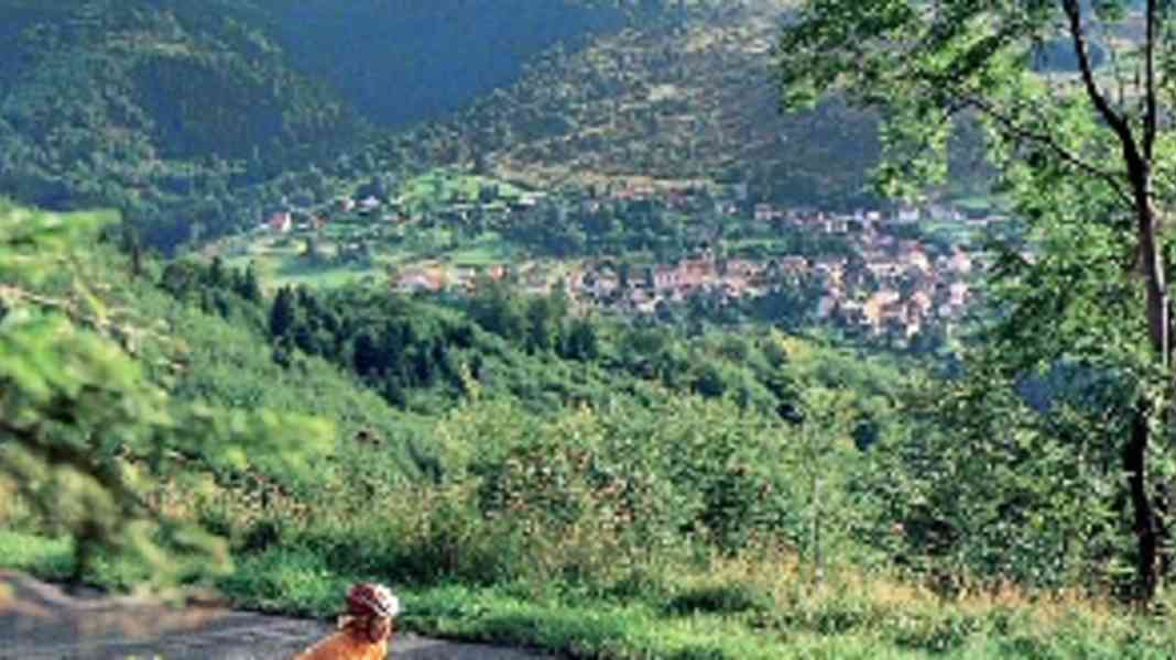 Frankreich: Vogesen