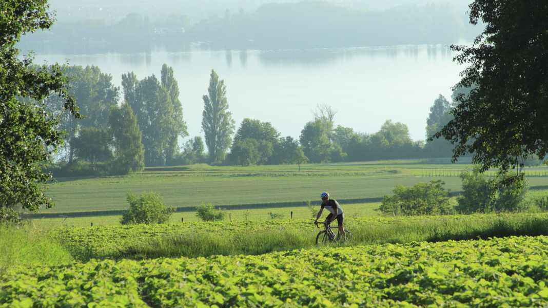 Deutschland: Rennradtouren am Bodensee - 2 Radtouren ab Radolfzell um den westlichen Bodensee