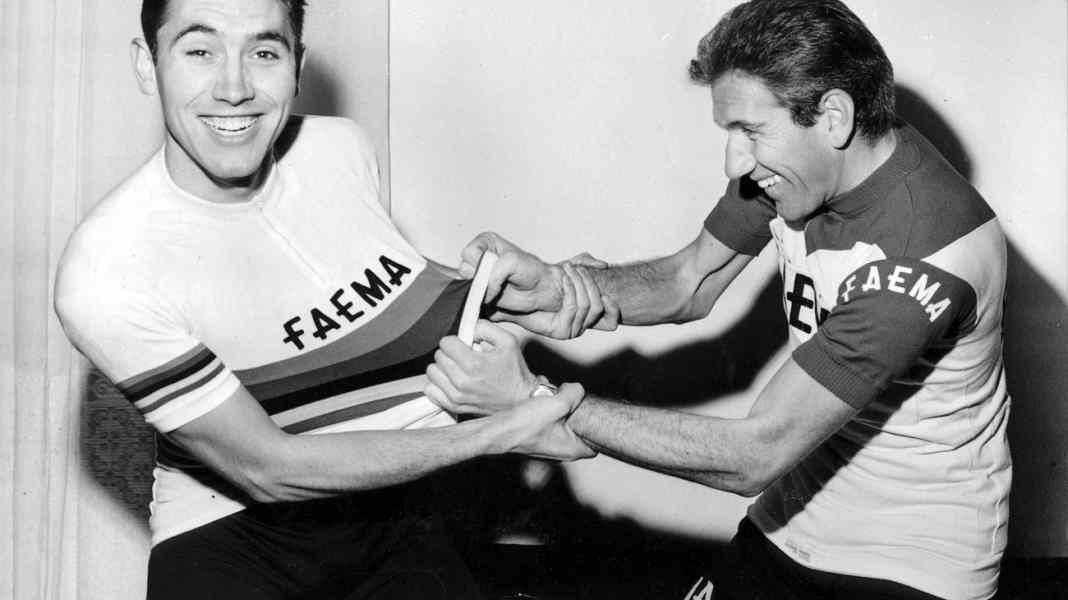 Kaufberatung: Radtrikots im Retro-Look