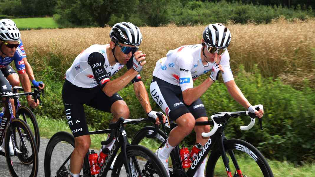 Tour de France: Tiger und Krokodile - kurioser Funkspruch von Pogacar-Team