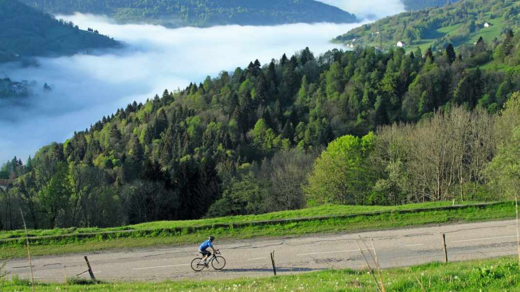 Tour de France 2023: Vogesen zum Zuschauen und selbst erfahren