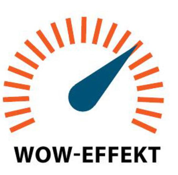 Der WOW-Effekt des Retrovelo Louis Duo 26" | Abbildung: MYBIKE