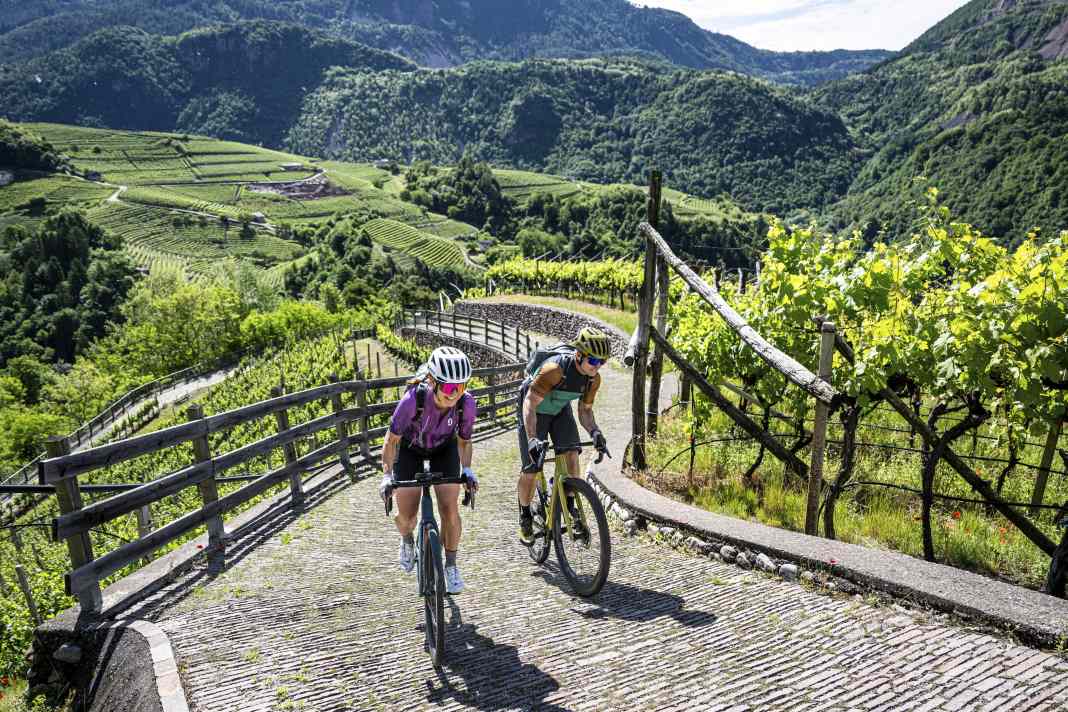 Auf den steilen, holprigen  Rampen durch die Weinberge im Cembra-Tal freut sich auch ein ehemaliger Olympia-Teilnehmer über  die sanfte E-Unterstützung am Gravelbike.