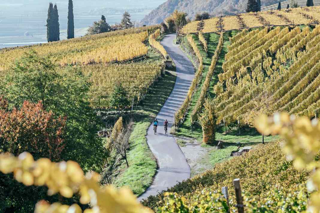 In Südtirol ­befinden sich ­einige der schönsten Weinregionen überhaupt – ideal für Radfahrer.