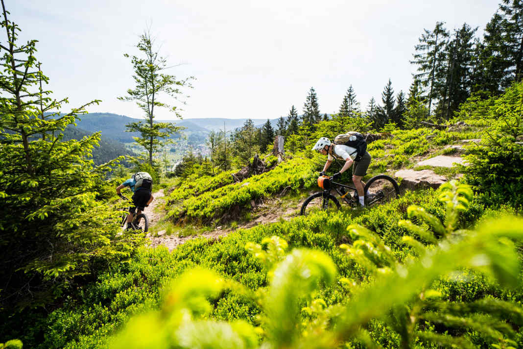 Der legale Trail ist das Ziel: Drei Tage durch die Wälder zwischen Baiersbronn und Sasbachwalden - mehr braucht man eigentlich nicht.