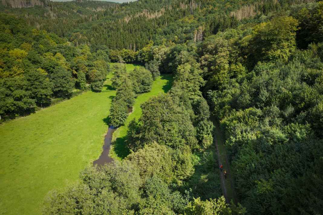 Ösling heißen die luxemburgischen Ardennen vorort.