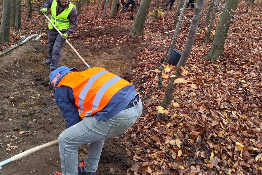 Letzter Feinschliff, bevor die Himmelsleiter Trails am 30.8. feierlich freigegeben werden.