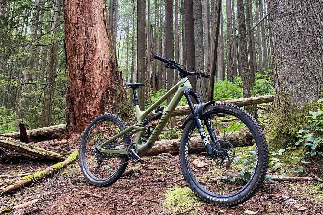 Canyon Torque Mullet CF 8