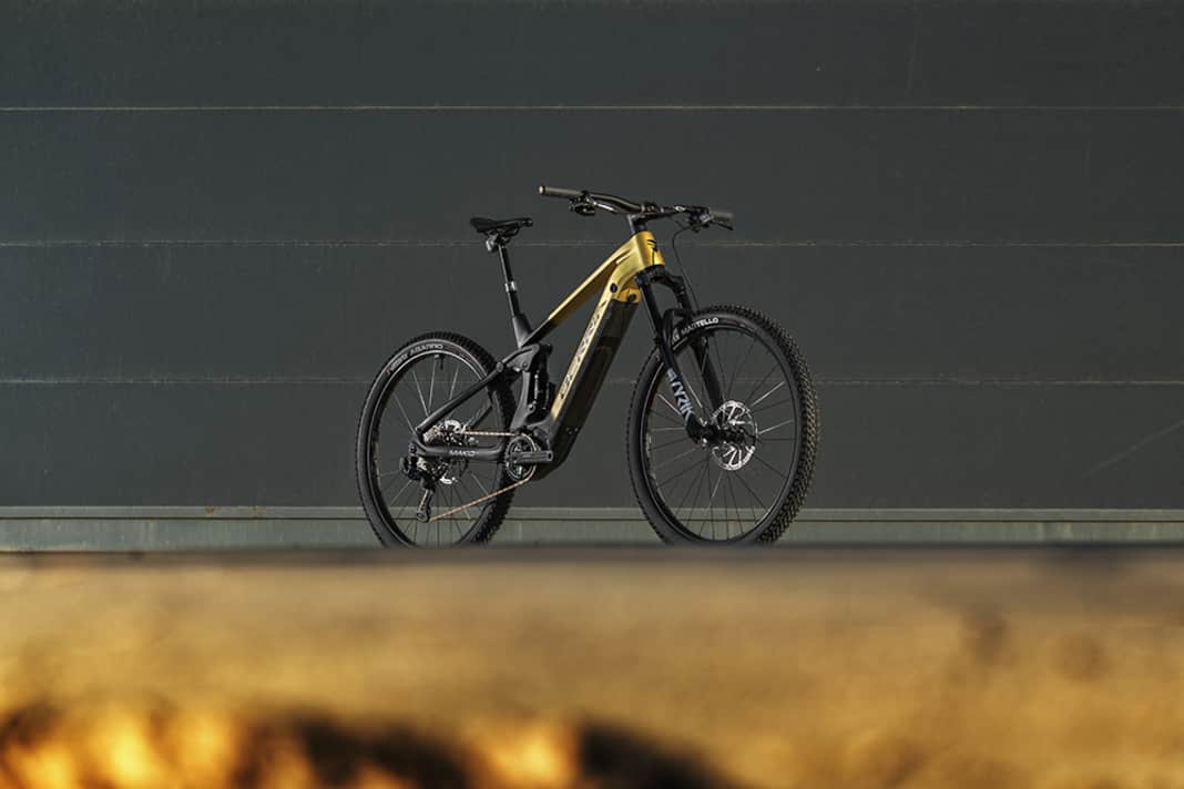 Sieben Modellausführungen bietet Berria vom Mako Hybrid GT. Der Star im Ensemble ist das LTD.3 für 12.199