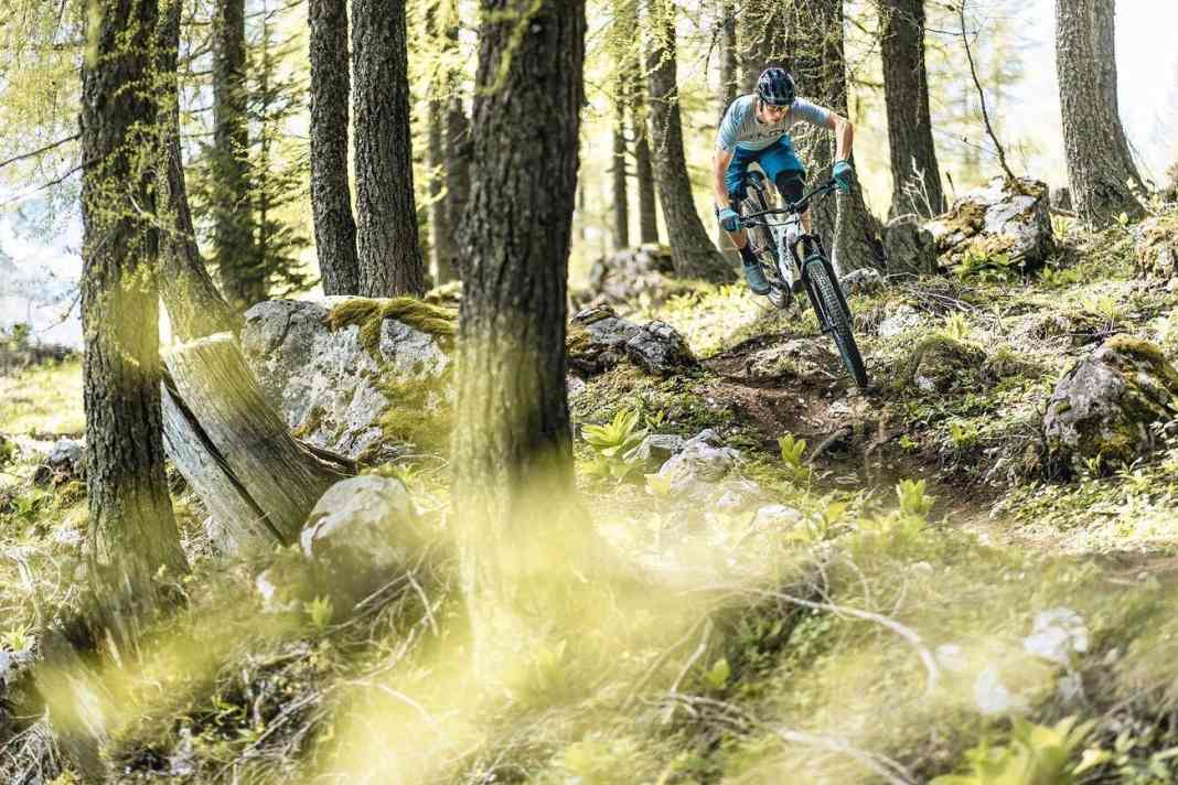 Test 2019: E-All-Mountain-Bikes im Trailpark