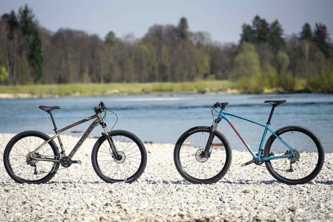 Rockrider ST 540 gegen Specialized Rockhopper Comp (re.)