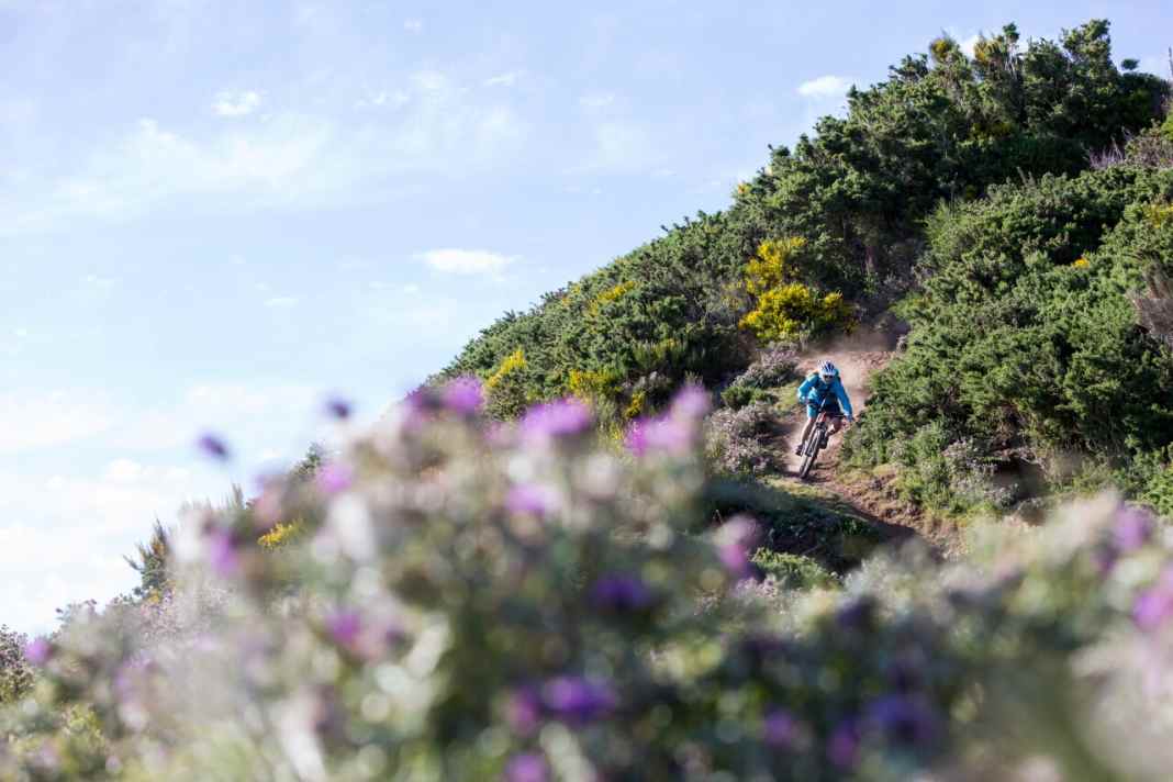 Abfahrt durchs Blumenmeer. Die Pfade sind bröselig trocken und damit immer ein bisschen rutschig.